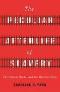 The Peculiar Afterlife of Slavery