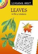 Learning About Leaves