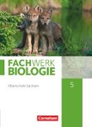 Fachwerk Biologie, Sachsen, 5. Schuljahr - neuer Lehrplan, Schülerbuch - Neubearbeitung