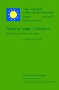 Plants as Solar Collectors: Optimizing Productivity for Energy
