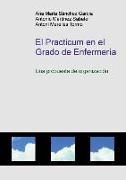 El Practicum En El Grado de Enfermer-A