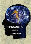 Hipocampo