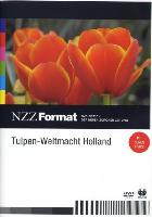 Tulpen - Weltmacht Holland