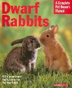 Dwarf Rabbits: Everything about Selection, Care, Nutrition, and Behavior