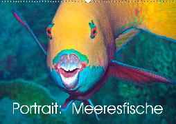 Portrait: Meeresfische (Wandkalender 2020 DIN A2 quer)