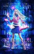 Elemental Fae Academy: Book One: A Reverse Harem Paranormal Romance