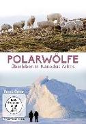 Polarwölfe - Überleben in Kanadas Arktis