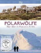 Polarwölfe - Überleben in Kanadas Arktis