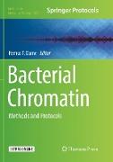 Bacterial Chromatin