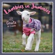2020 Lambies in Jammies & Goats in Coats 16-Month Wall Calendar: By Sellers Publishing