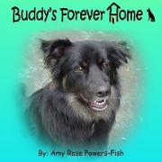 Buddy's Forever Home