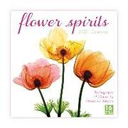 2020 Flower Spirits Radiographs of Nature by Steven N. Meyers 16-Month Wall Calendar: By Sellers Publishing
