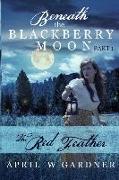 The Red Feather: a Christian Native American Historical Novel