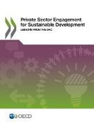 Private Sector Engagement for Sustainable Development: Lessons from the DAC