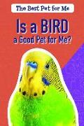 Is a Bird a Good Pet for Me?