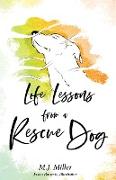 Life Lessons from a Rescue Dog