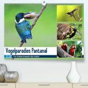 Vogelparadies Pantanal(Premium, hochwertiger DIN A2 Wandkalender 2020, Kunstdruck in Hochglanz)