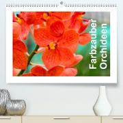 Farbzauber Orchideen(Premium, hochwertiger DIN A2 Wandkalender 2020, Kunstdruck in Hochglanz)