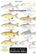 Guide to British Freshwater Fishes