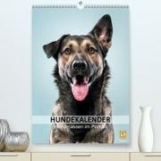 Hundekalender - Hunderassen im Portrait(Premium, hochwertiger DIN A2 Wandkalender 2020, Kunstdruck in Hochglanz)