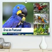 Aras im Pantanal(Premium, hochwertiger DIN A2 Wandkalender 2020, Kunstdruck in Hochglanz)