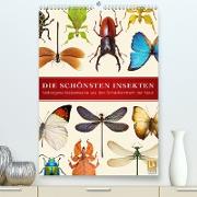 Die schönsten Insekten(Premium, hochwertiger DIN A2 Wandkalender 2020, Kunstdruck in Hochglanz)