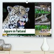 Jaguare im Pantanal(Premium, hochwertiger DIN A2 Wandkalender 2020, Kunstdruck in Hochglanz)