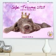 Süße Träume 2020 - schlafende Hundewelpen(Premium, hochwertiger DIN A2 Wandkalender 2020, Kunstdruck in Hochglanz)