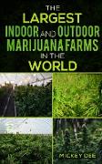 The Largest Indoor and Outdoor Marijuana Farms in the World