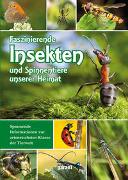 Faszinierende Insekten und Spinnentiere unserer Heimat