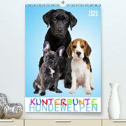 Kunterbunte Hundewelpen(Premium, hochwertiger DIN A2 Wandkalender 2020, Kunstdruck in Hochglanz)