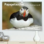 Papageitaucher - kleine Vögel ganz groß!(Premium, hochwertiger DIN A2 Wandkalender 2020, Kunstdruck in Hochglanz)