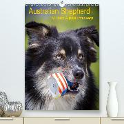Australian Shepherd - Mit dem Aussie unterwegs(Premium, hochwertiger DIN A2 Wandkalender 2020, Kunstdruck in Hochglanz)