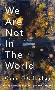We Are Not in The World