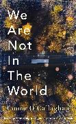We Are Not in The World