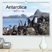 Antarctica (UK - Version)(Premium, hochwertiger DIN A2 Wandkalender 2020, Kunstdruck in Hochglanz)