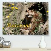 Raccoons / UK-Version(Premium, hochwertiger DIN A2 Wandkalender 2020, Kunstdruck in Hochglanz)