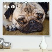 Mops 2020(Premium, hochwertiger DIN A2 Wandkalender 2020, Kunstdruck in Hochglanz)