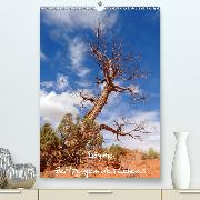 Bäume - Zeitzeugen des Lebens(Premium, hochwertiger DIN A2 Wandkalender 2020, Kunstdruck in Hochglanz)