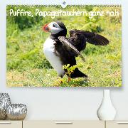 Puffins, Papageitauchern ganz nah(Premium, hochwertiger DIN A2 Wandkalender 2020, Kunstdruck in Hochglanz)