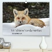 Wildtiere Nordamerikas(Premium, hochwertiger DIN A2 Wandkalender 2020, Kunstdruck in Hochglanz)