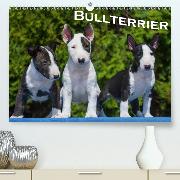 Bullterrier(Premium, hochwertiger DIN A2 Wandkalender 2020, Kunstdruck in Hochglanz)
