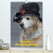 Germanys Best Dog Models - gestylte Labrador und Golden Retriever(Premium, hochwertiger DIN A2 Wandkalender 2020, Kunstdruck in Hochglanz)