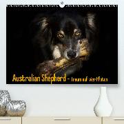 Australian Shepherd - Traum auf vier Pfoten(Premium, hochwertiger DIN A2 Wandkalender 2020, Kunstdruck in Hochglanz)