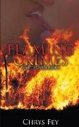Flaming Crimes