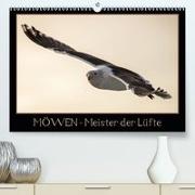 Möwen - Meister der Lüfte(Premium, hochwertiger DIN A2 Wandkalender 2020, Kunstdruck in Hochglanz)