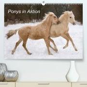 Ponys in Aktion(Premium, hochwertiger DIN A2 Wandkalender 2020, Kunstdruck in Hochglanz)