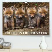 Füchse in freier Natur(Premium, hochwertiger DIN A2 Wandkalender 2020, Kunstdruck in Hochglanz)