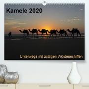 Kamele 2020 - Unterwegs mit zottigen WüstenschiffenCH-Version(Premium, hochwertiger DIN A2 Wandkalender 2020, Kunstdruck in Hochglanz)
