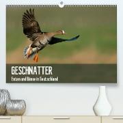 Geschnatter - Enten und Gänse in Deutschland(Premium, hochwertiger DIN A2 Wandkalender 2020, Kunstdruck in Hochglanz)